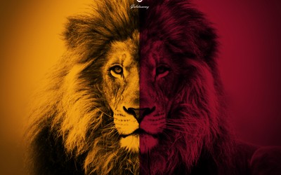 满贯体育独家-以色列队战术调整立竿见影