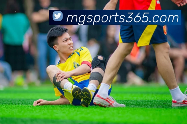 满贯体育MGSPORTS365发展历程